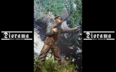 SS-Hauptsturmfhrer, 5. SS-Panzer division Wiking 1944