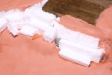 Detail ternu