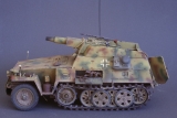 Sd.Kfz. 250/8 STUMMEL